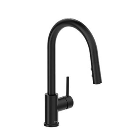 Riobel Kitchen Faucet w/Spray NJ201BK Black