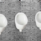 Foremost Kolby 4810BSX Urinal 0.047L High Efficiency Wall-Mount TS 0.125 GPF White