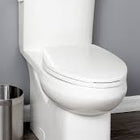 Foremost Cayla 4782BOV Elongated 4.8L BOWL, 16 1/2